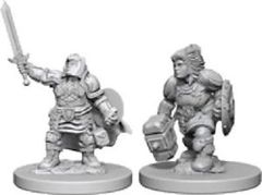 Nolzur's Marvelous Miniatures - Dwarf Paladin